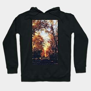 Autumn Path Hoodie